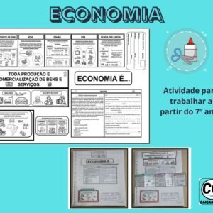 ECONOMIA E DISPARIDADES SOCIOTERRITORIAIS